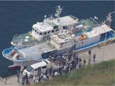 ���ۑg�D�ƍߑ΍��n