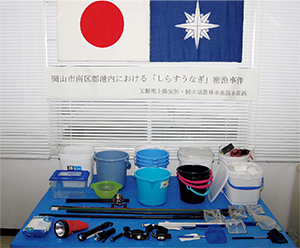 ���������؋���