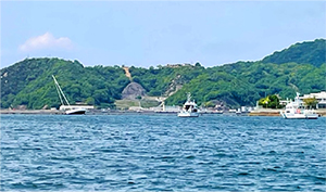 ��g���̏�