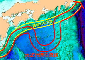 �{�B��݂̍����̗��H