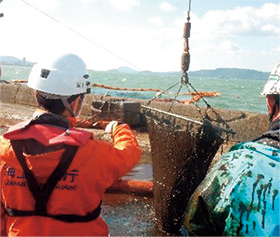 �@���h�����ɂ��w����