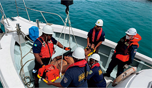 DMSFWP�����D��g���ɑ΂���~�}�E�~���Z�\�P��