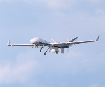 �V�[�K�[�f�B�A��