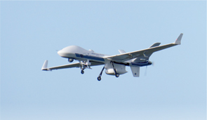 ���������V�[�K�[�f�B�A��