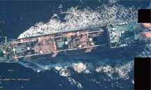 �V�[�K�[�f�B�A�����B�e�������摜