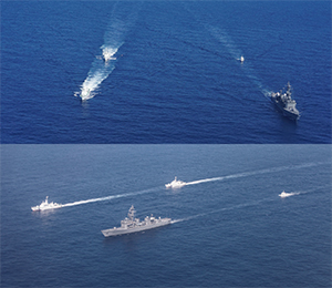 �s�R�D�̋����ǐՁE�Ď��P��