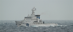 �r�V���ŔC���ɂ������D