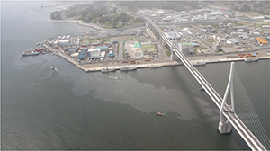 �������̏�