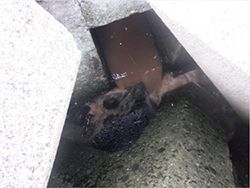 �r��������r�o����鉘��