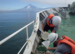 �C��͐ϕ��̍̎���