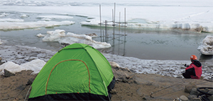 �����ϑ������{����l�q