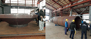 �H��ɂ����铔������