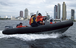 �h�����͊�