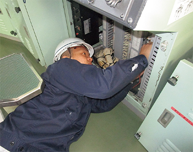 ���c�^�F�̎ʐ^