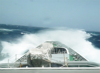 �厞���̃C���h�m