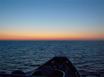 �D����̒��Ă�