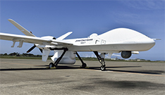 �V�[�K�[�f�B�A���i3���@�j