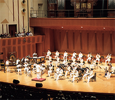 ��29�������t��