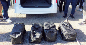 ���^�D���𗘗p�����R�J�C�����A������-2