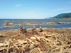 �����D�u��Ђ��v�����m�ɂ������{��