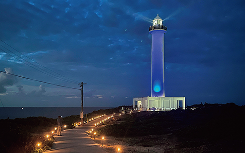 ���z�I�ɋP���c�g������