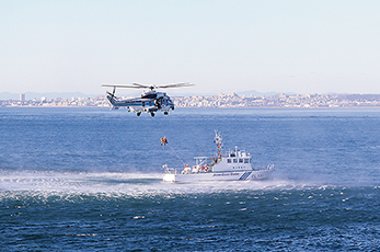 �v�~���Ғݏグ�~��