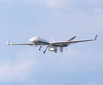 �V�[�K�[�f�B�A��