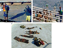 �\�}���A���ӊC��̊C����