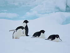 �����c�H�E�z�����p�ɂ�