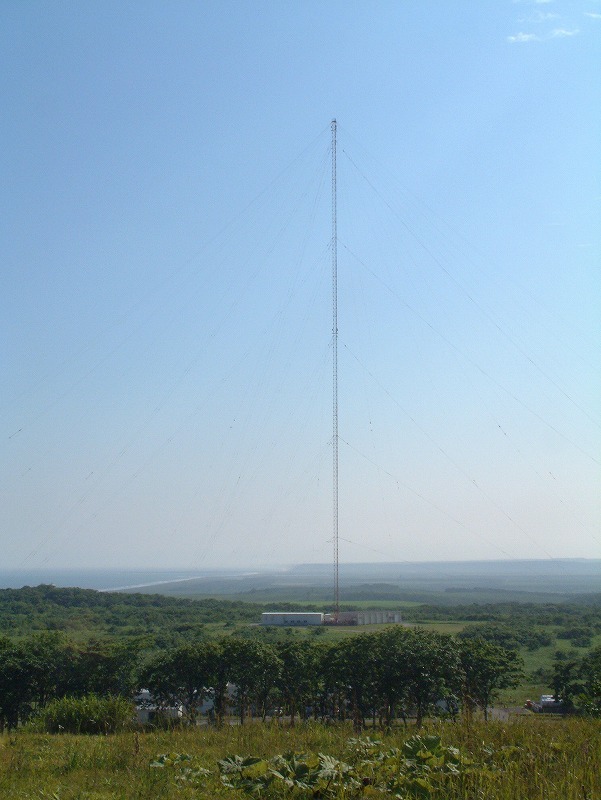 now.gif (2234 �o�C�g)